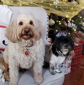 Meet your Posher, Linda